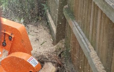 stump removal sydney
