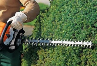 Hedge Trimming and Shaping